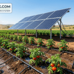 How to Design a Solar Drip Irrigation System